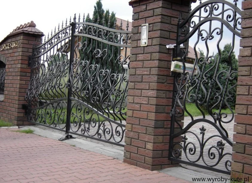 Brama Biały Dom - Winogrona w Koszu