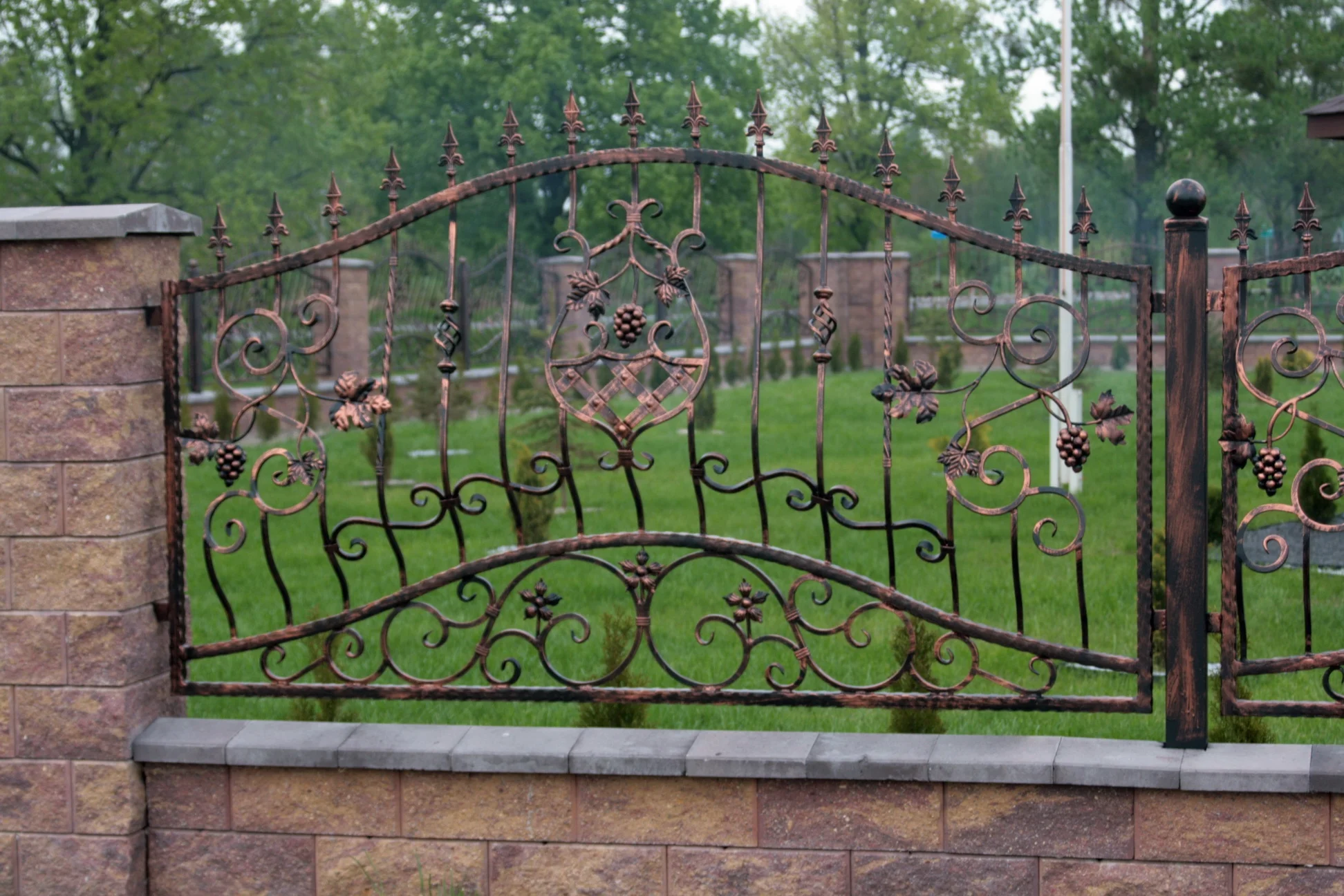 Brama Kuta - Detal Winorośli