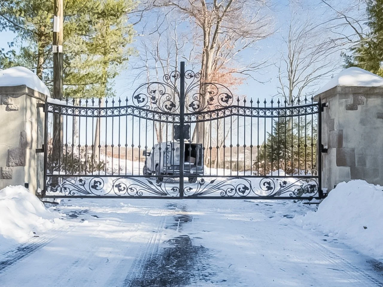 Detal ażurowy bramy kutej Premium