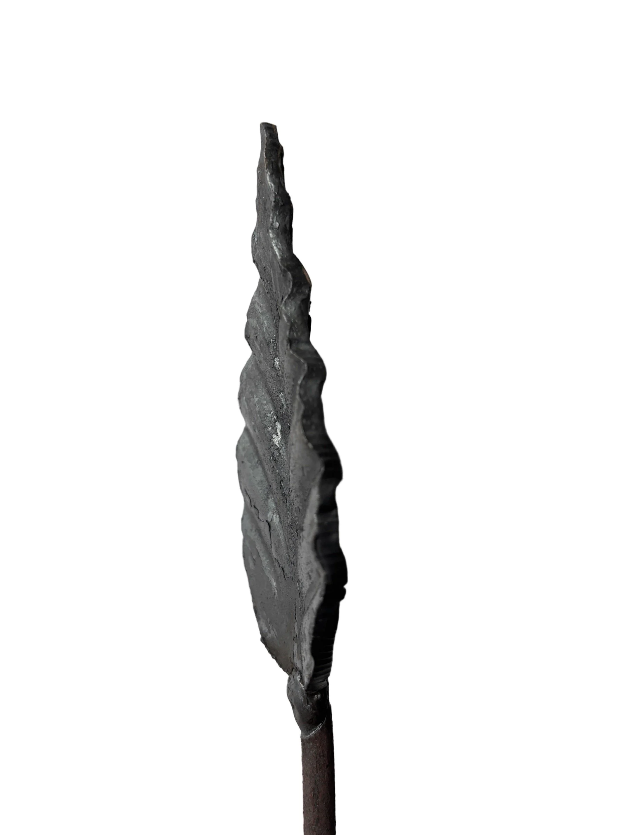 Detal Liścia Kutego – Widok z Boku (Profil)