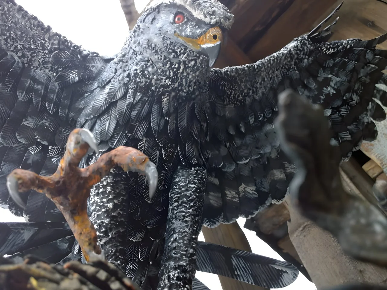 Detal upierzenia - Kuty ptak drapieżny