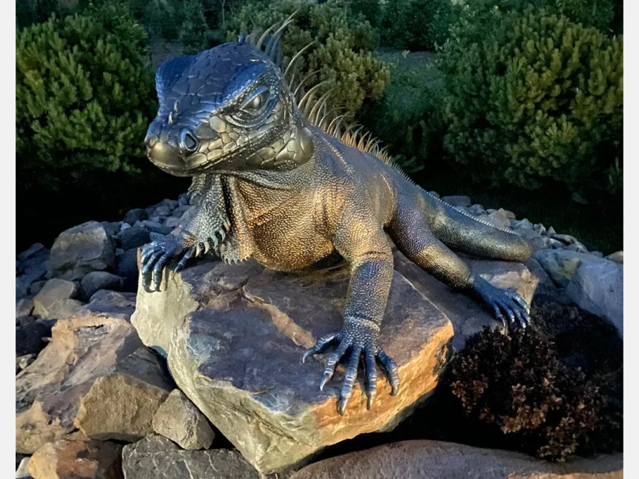 Faktura skóry iguany - Kute łuski