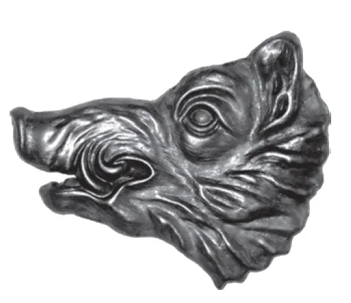 Głowa dzika kuta - profil