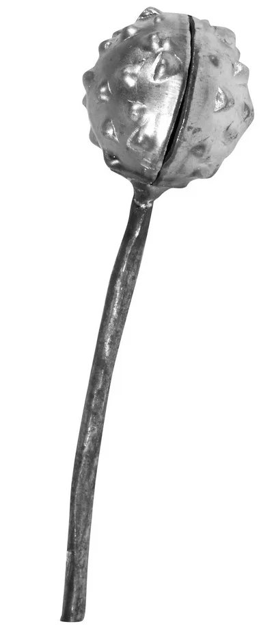 Kasztan kuty ozdobny na łodydze