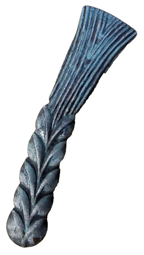 Kłos kuty ozdobny - detal roślinny