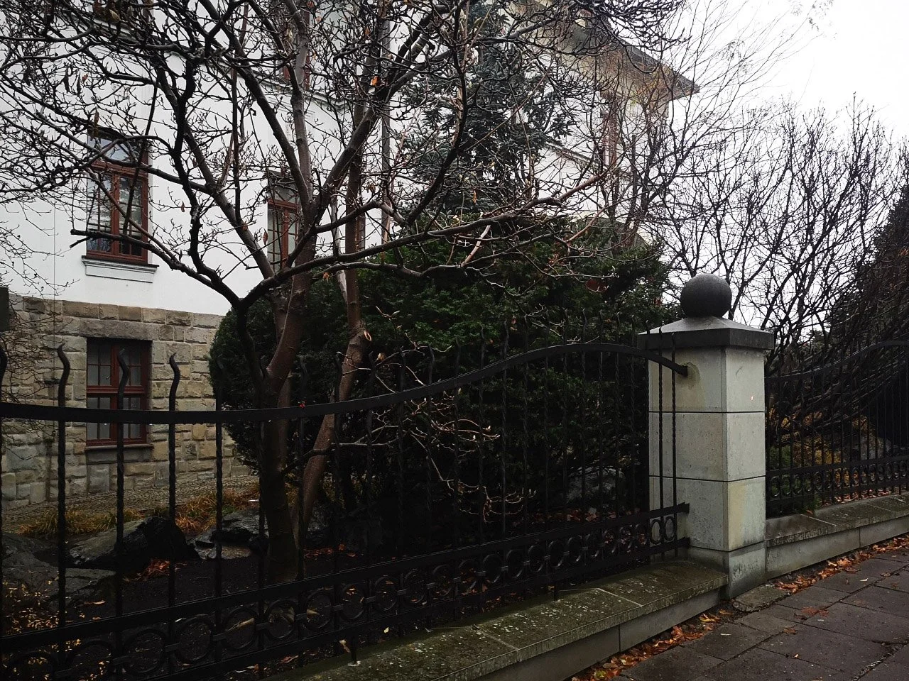 Kute grodzenie rezydencji - Widok przez ogród