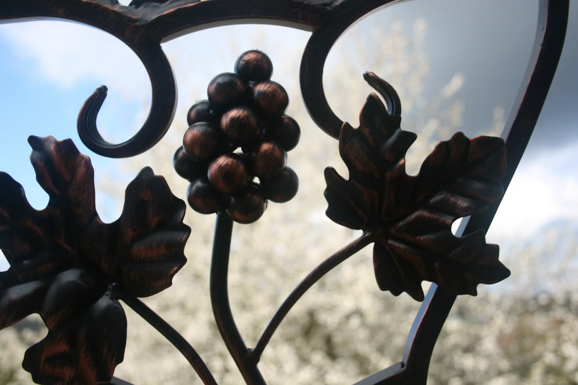 Kute winogrona - zbliżenie na detal