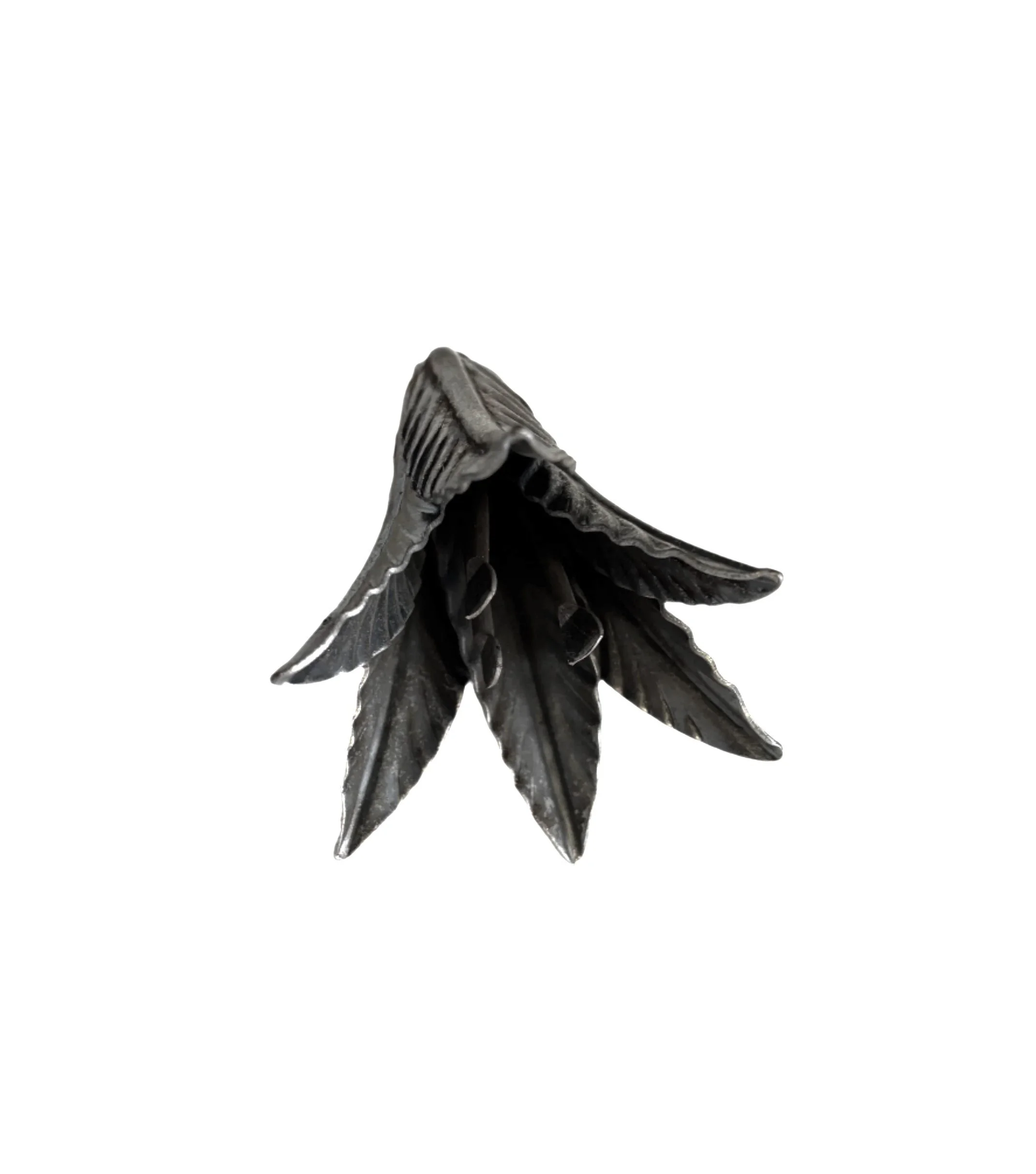 Kwiat Kuty - Dzwonek Skupiony