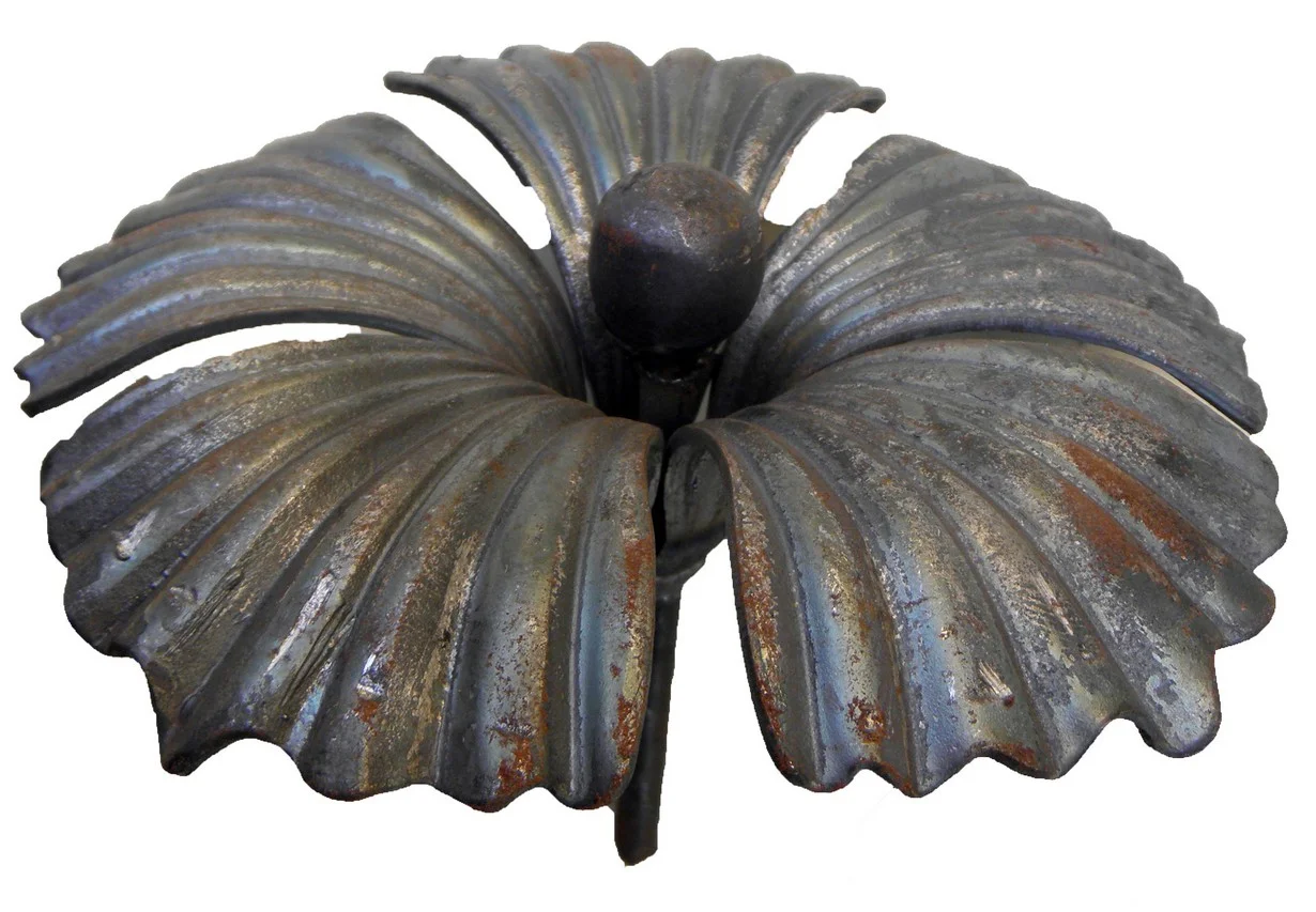 Kwiat kuty ozdobny - kielich