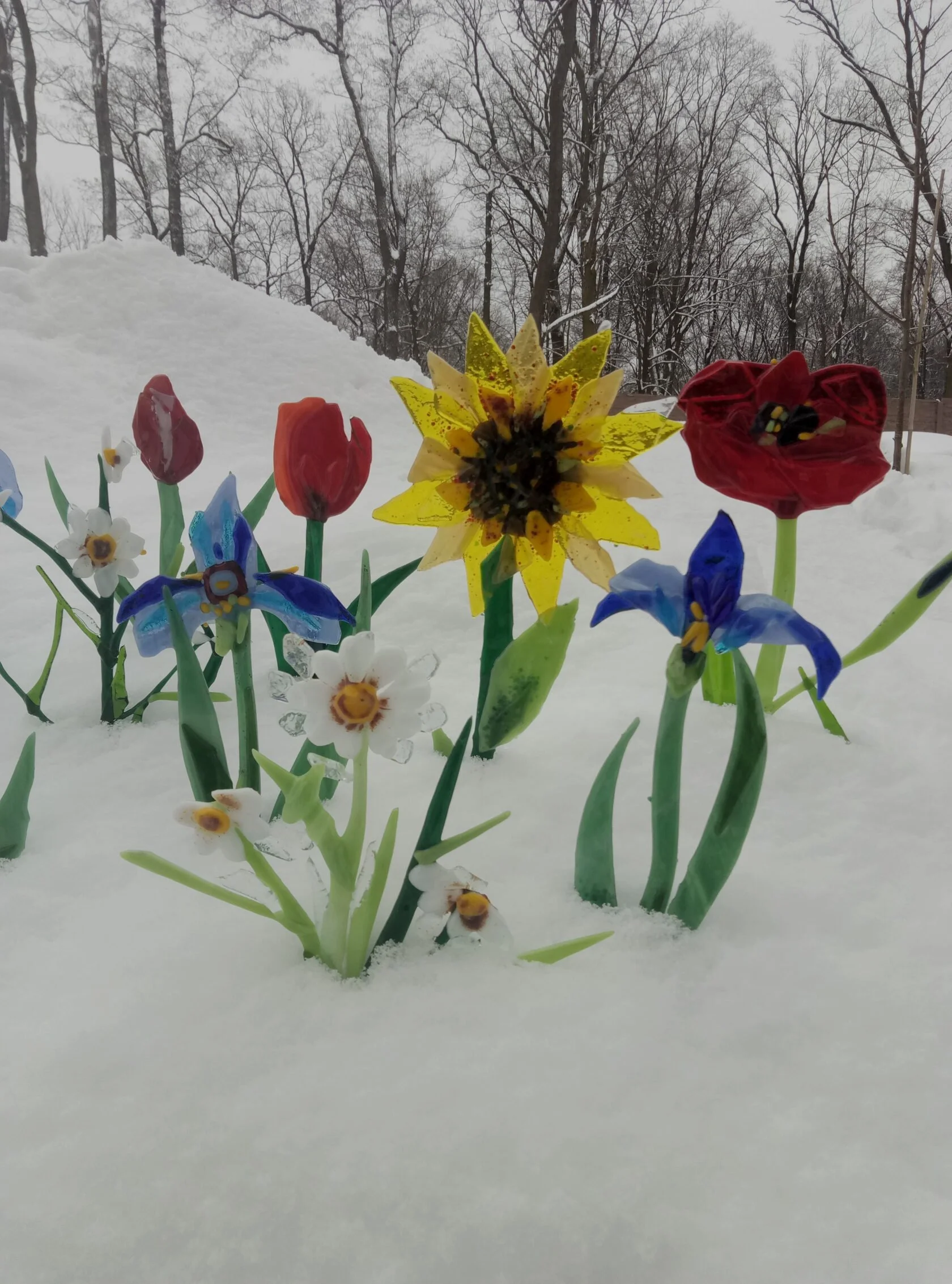 Szklane Kwiaty - Ogród Zimowy