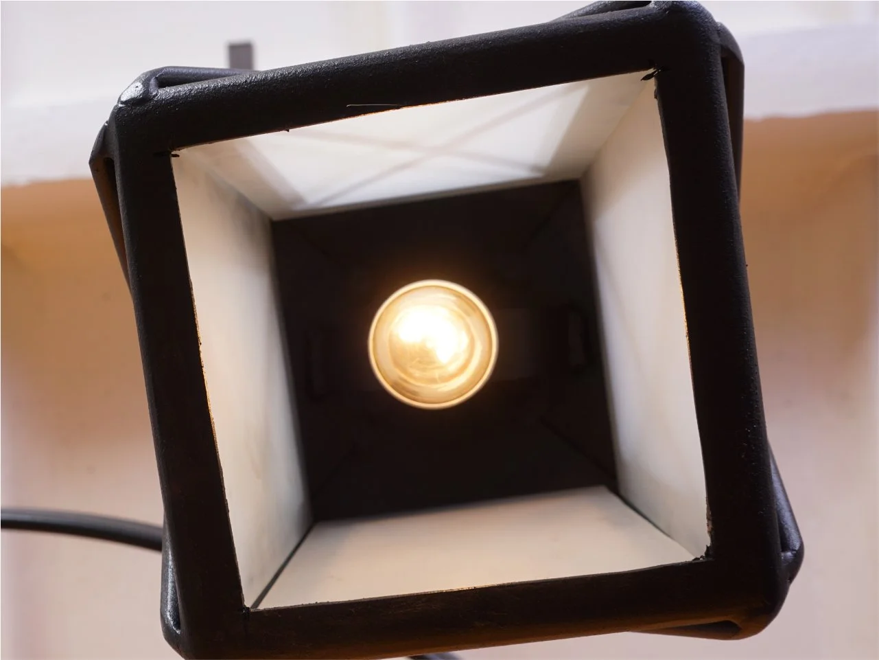 Lampion kuty - Perspektywa od spodu