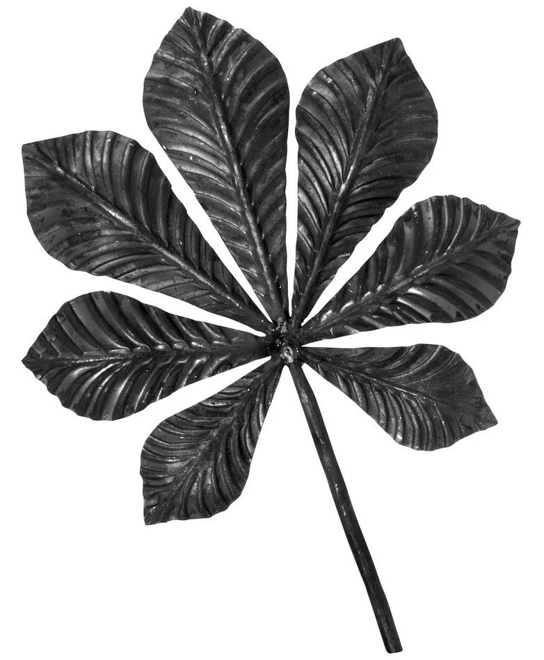 Liść kasztanowca kuty duży