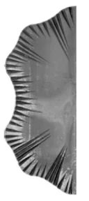 Liść Kuty Ozdobny Promienisty - Element Dekoracyjny