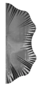 Liść Kuty Ozdobny Promienisty (Wariant Lewy/Prawy)