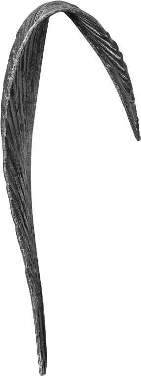 Liść Kuty - Długi Żebrowany