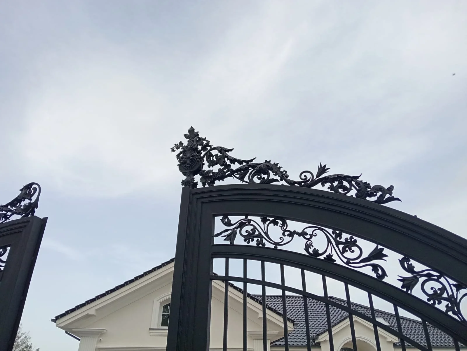 Brama Rezydencjonalna - Korona Detal