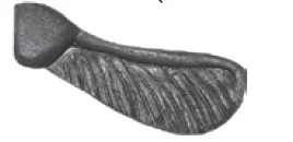 Nasiono klonu kute pojedyncze - B