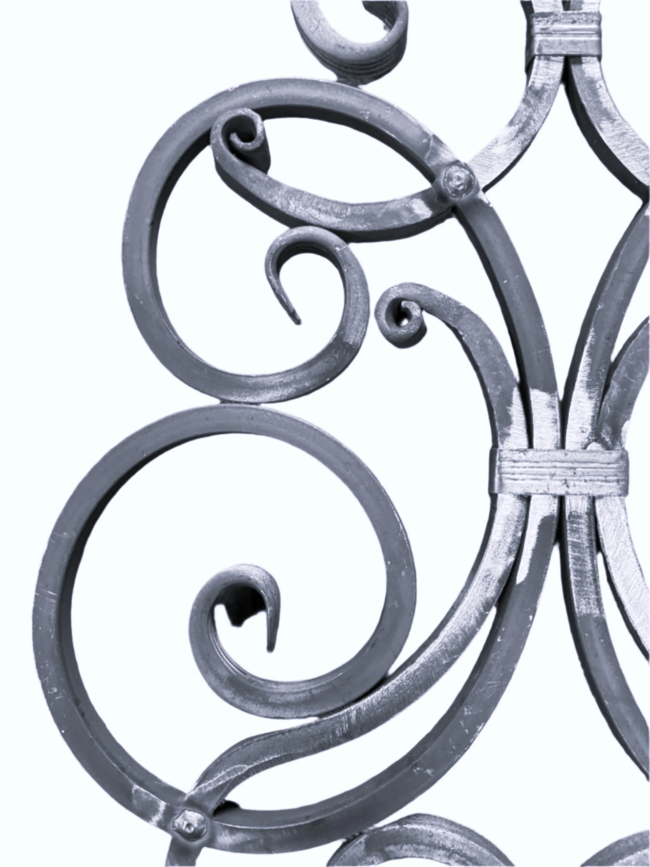 Detal Bramy - Ornament Srebrny