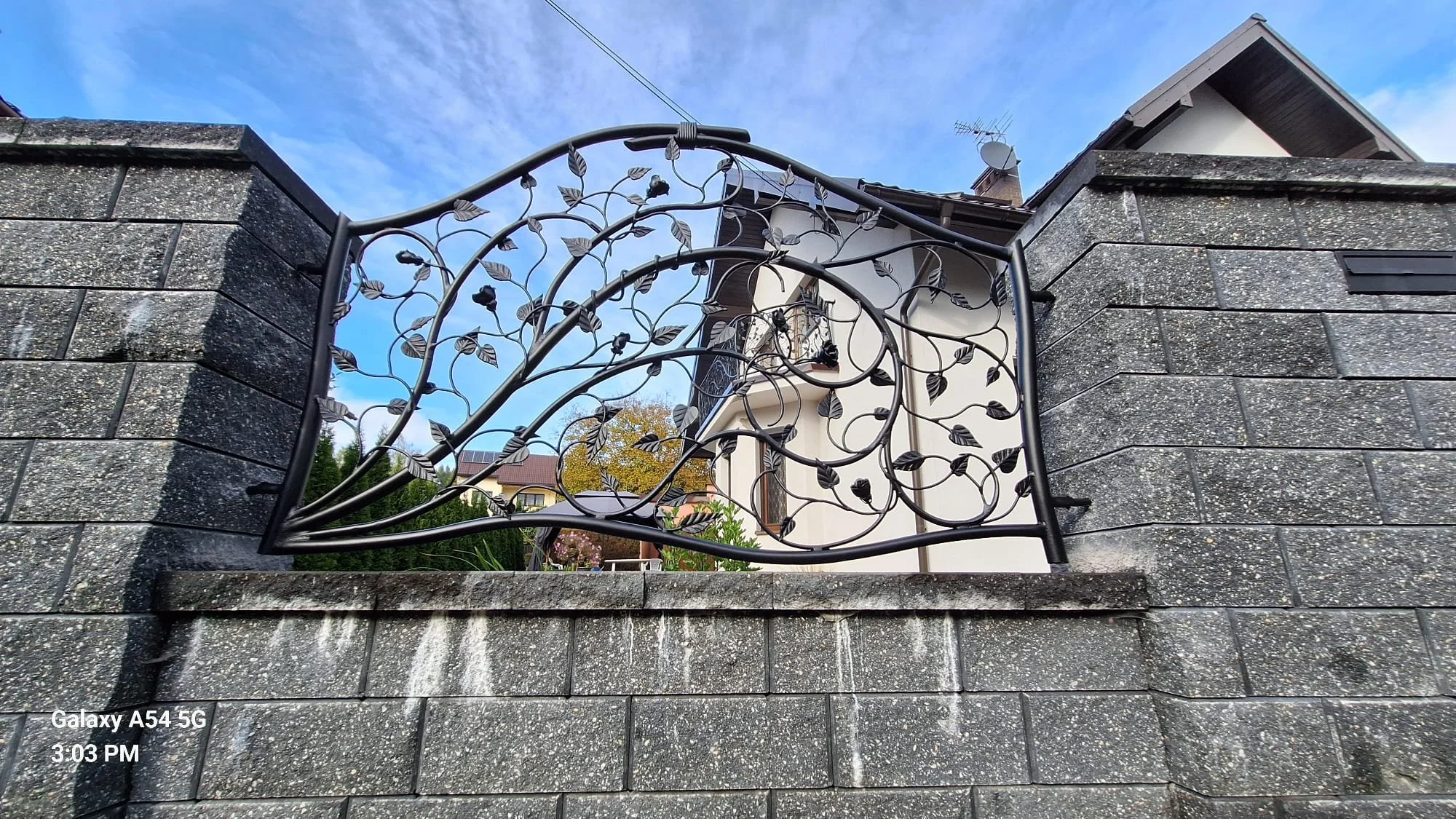 Ogrodzenie Organiczne 'Róże' - Widok na Posesję