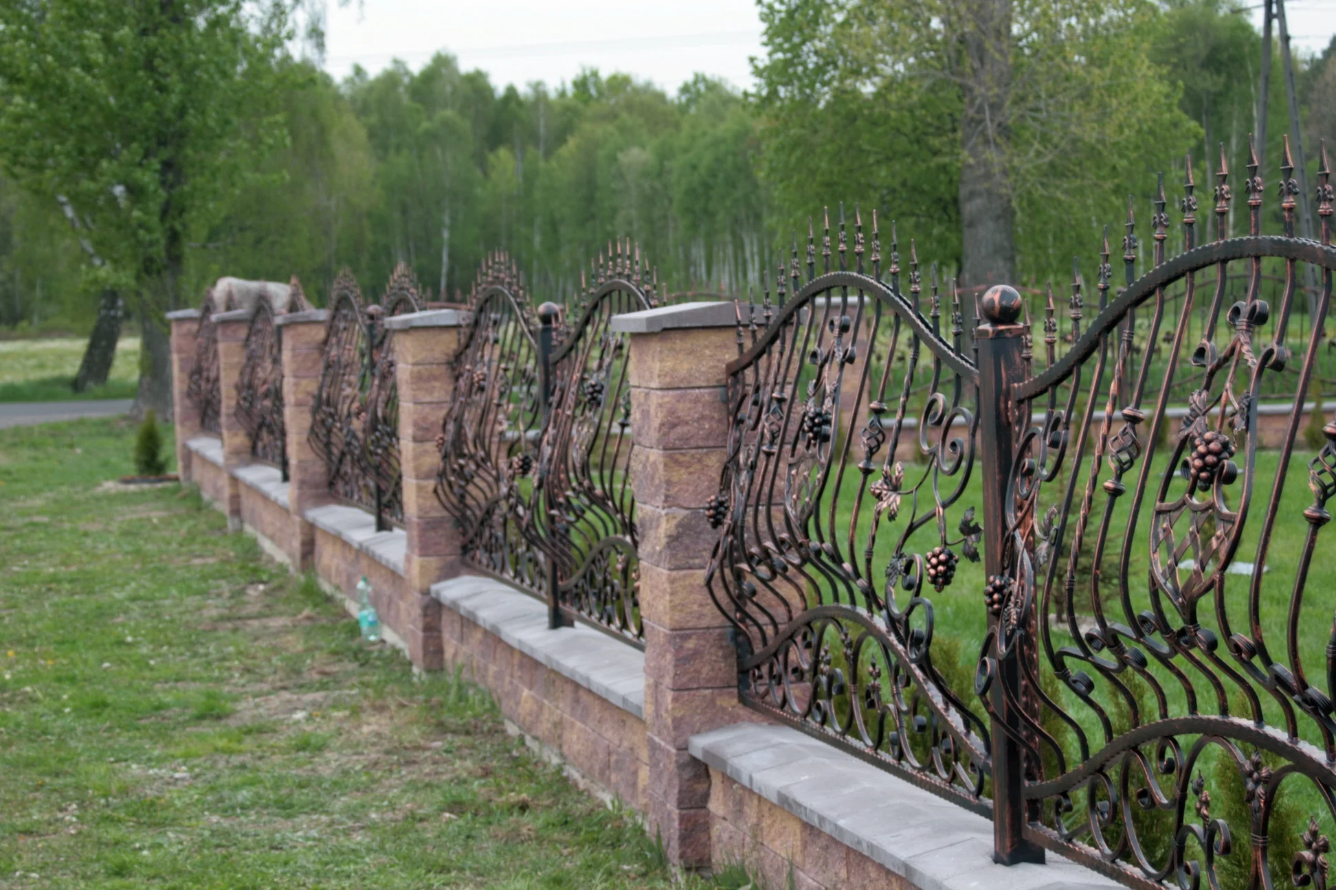 Płot Kuty - Winorośl w Pełnej Krasie