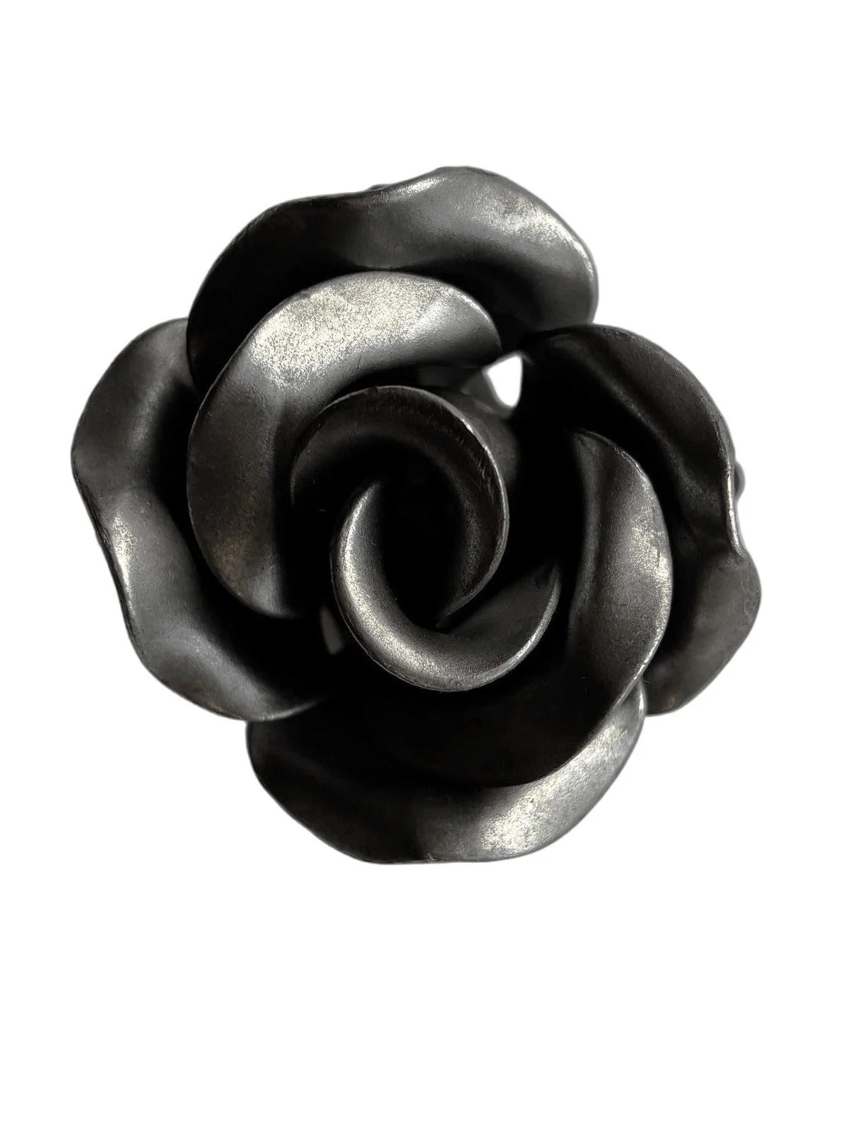 Róża Kuta Pełny Rozkwit – Widok z Góry