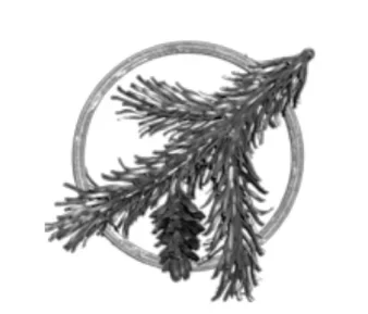 Rozeta Kuta Igliwie szyszka 300x330 mm model  03.312.06