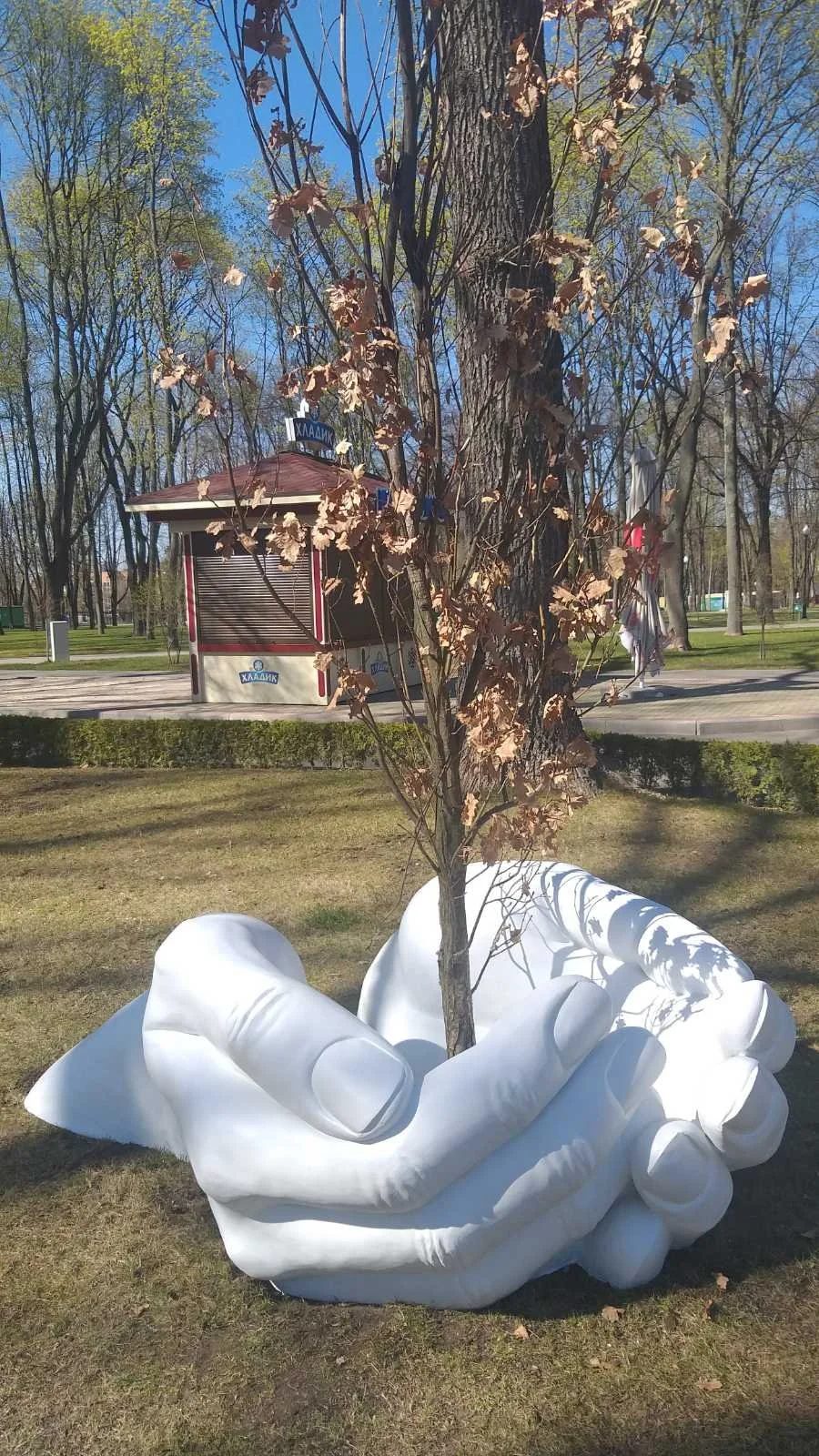 Rzeźba Plenerowa Dłonie Chroniące Drzewo - Sztuka Miejska