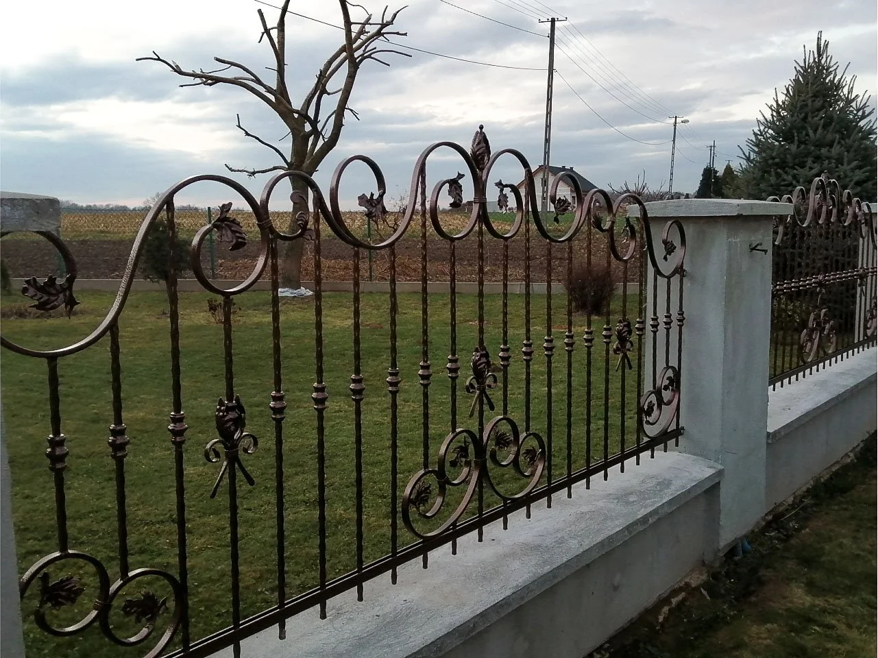 Segment ogrodzenia kute - Wzór naturalny