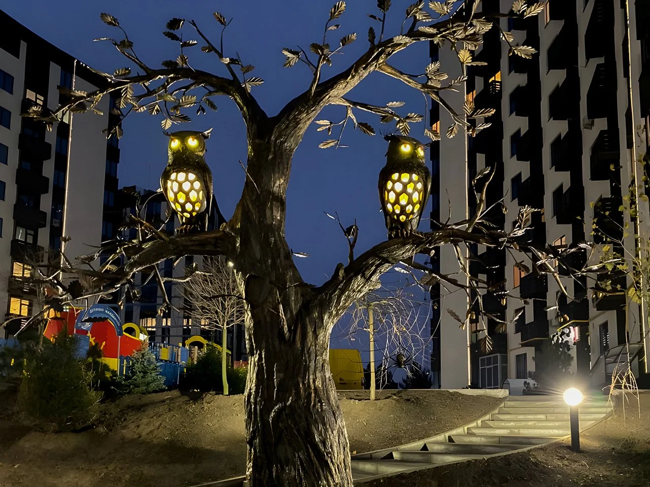 Kute Sowy w Ogrodzie - Noc