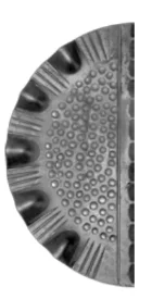 Szyld Drzwiowy Kuty Okrągły Pełny Lewy