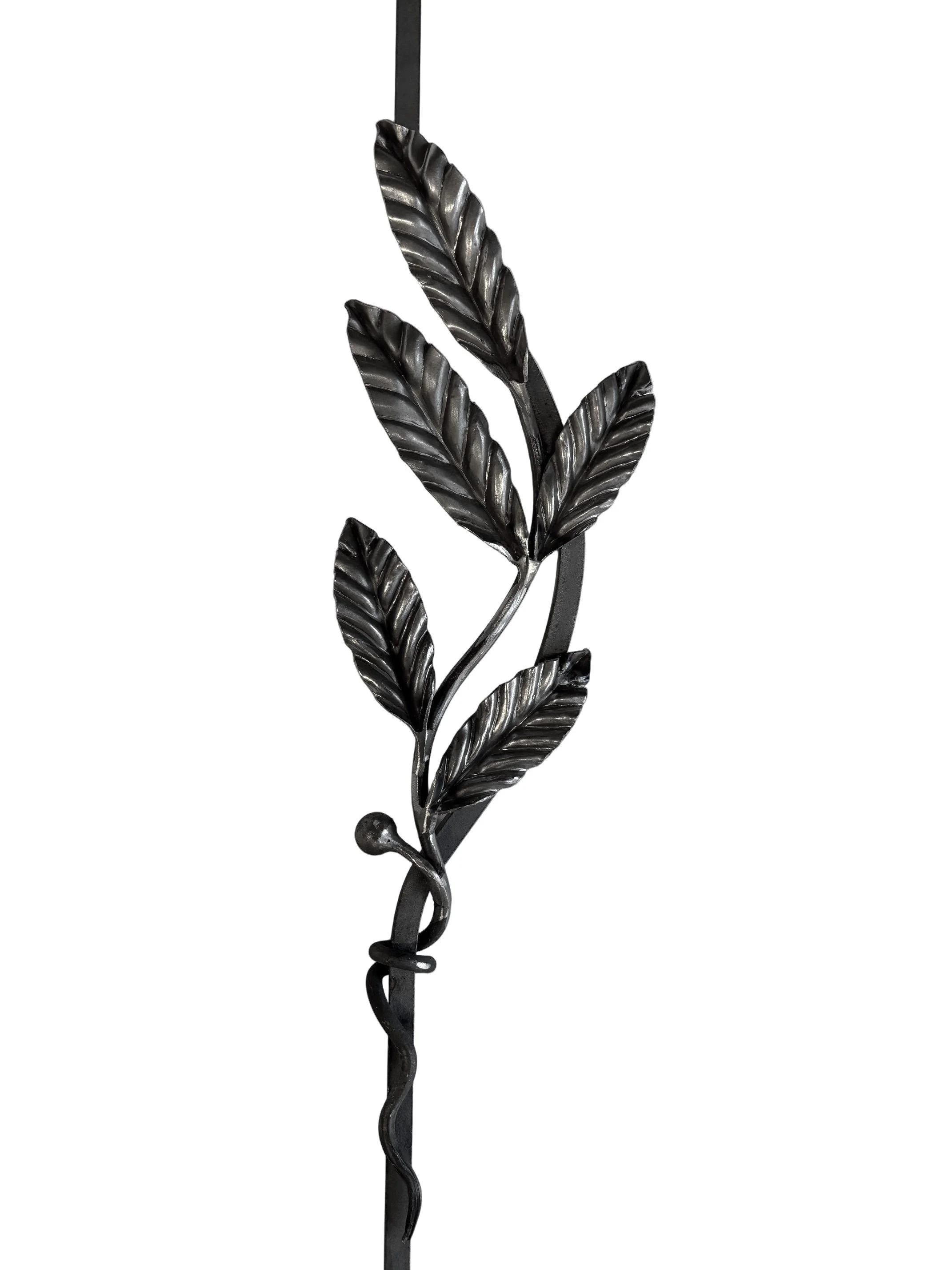 Tralka Kuta Ozdobna – Detal Liścia Zbliżenie