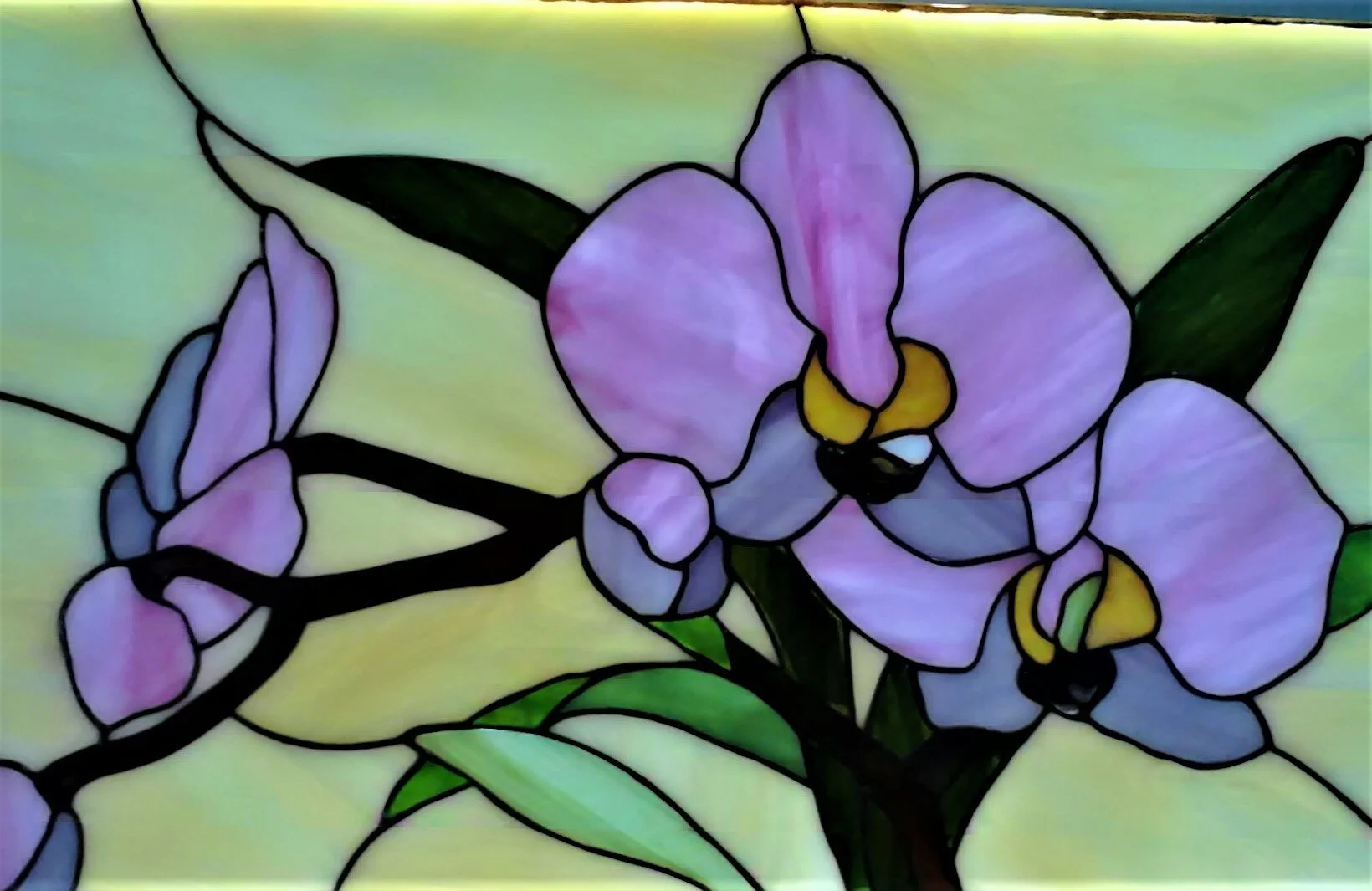 Witraż Poziomy - Storczyki