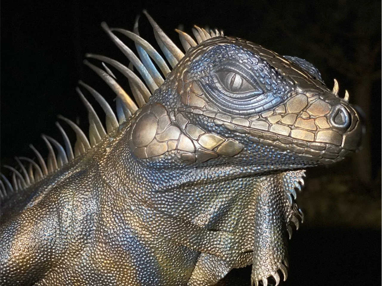 Zbliżenie na oko iguany - Mistrzostwo detalu